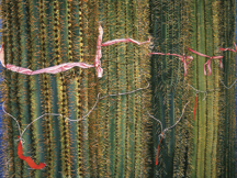 A painting