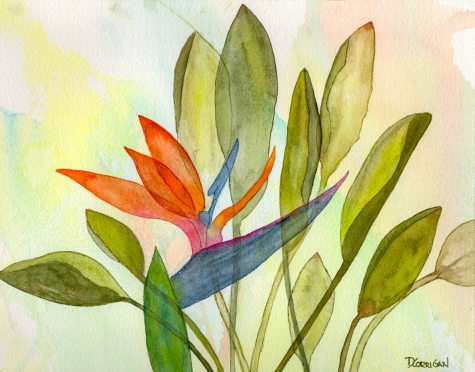 Memories of Maui 1 Memories of Maui