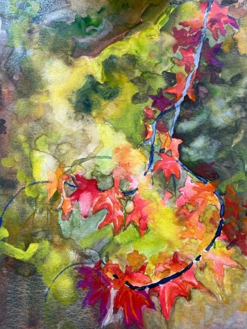 Health and Beauty at any stage of life 2 Health and Beauty at any stage of life