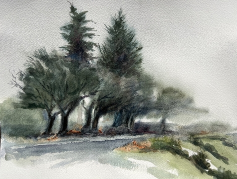 Cloudy morning  2 Cloudy morning