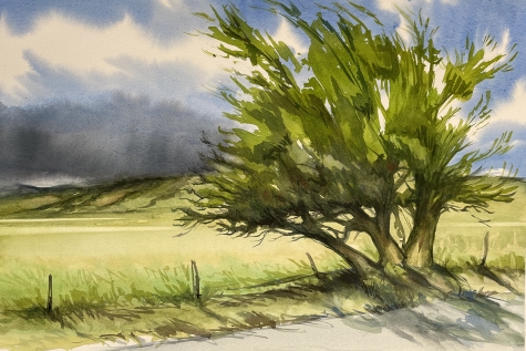 Summer Storm Capay Valley 1 Summer Storm Capay Valley