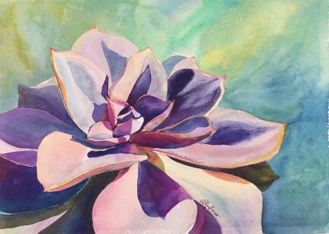 Succulent 1 Succulent