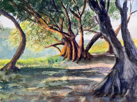 Old Growth 1 Old Growth