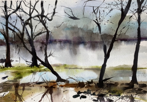 Sacramento Overflowing 1 Sacramento Overflowing