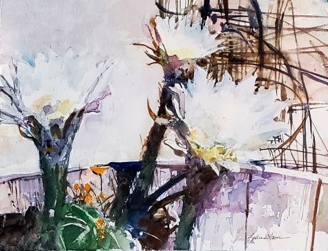 Cactus Flower  1 2 Cactus Flower  1