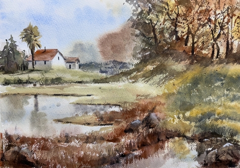 Napa Colors 1 Napa Colors