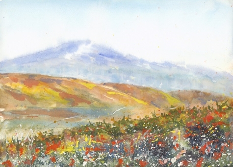 Sea of Orange 1 Sea of Orange