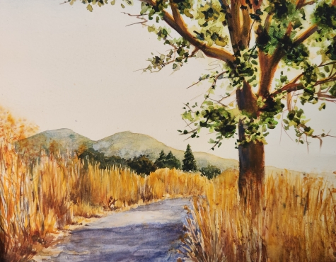 Nature Shows The Way 2 Nature Shows The Way